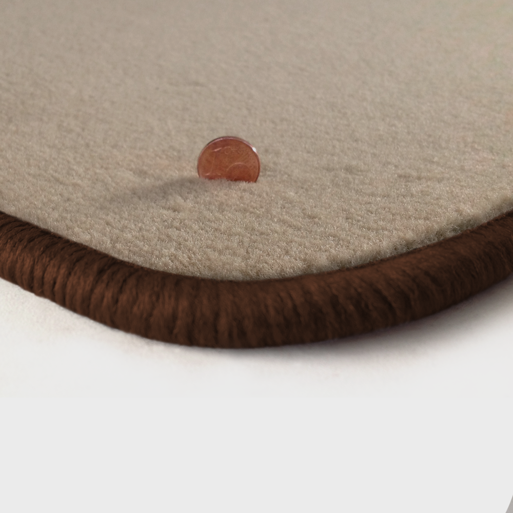 Eine Ecke als Beispiel einer Fussmatte Velours beige mit Rand in braun.